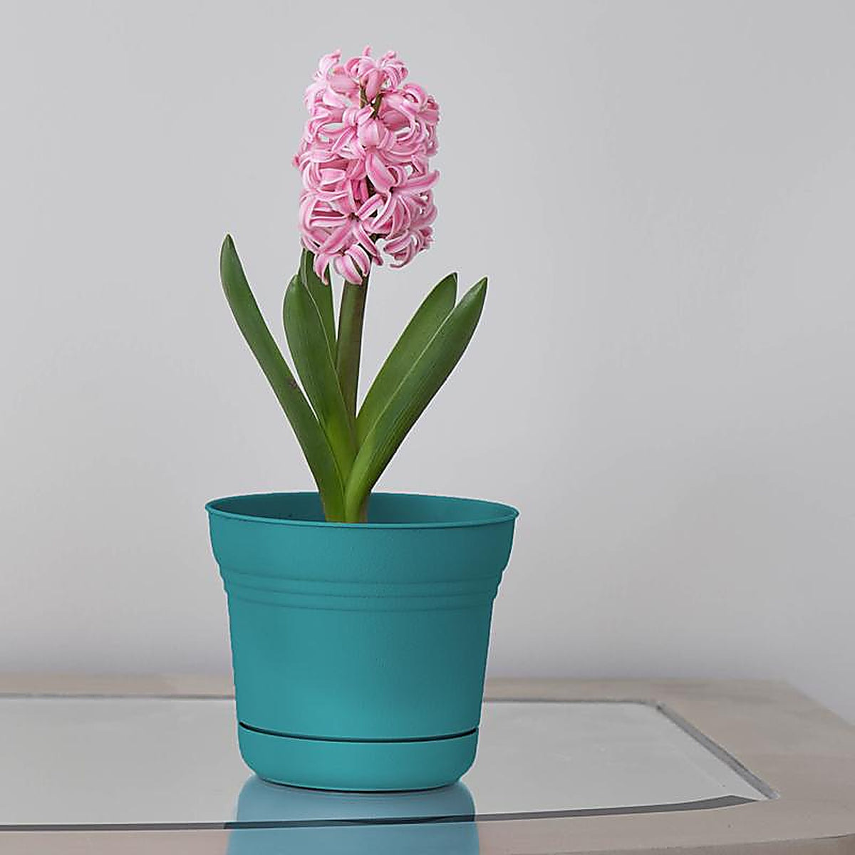 Bloem SP0726 6.5 in. H x 7.3 in. Dia. Resin Planter Teal