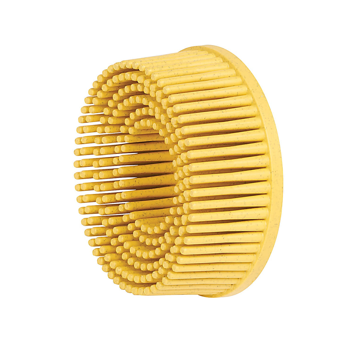 3M 07525 Scotch-Brite Roloc Bristle Disc, 2 in, 80 grit 10/Box