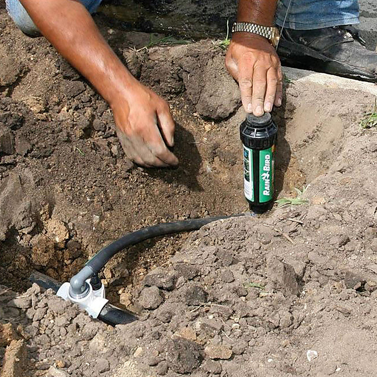 Rain Bird SWGP50 E-Z 50 ft. L Swing Pipe