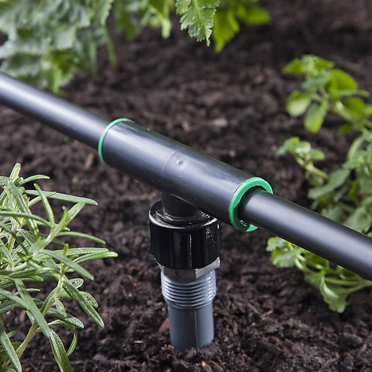 Raindrip R333CT Threaded 3/4 in. Drip Irrigation Tee 1/Pack