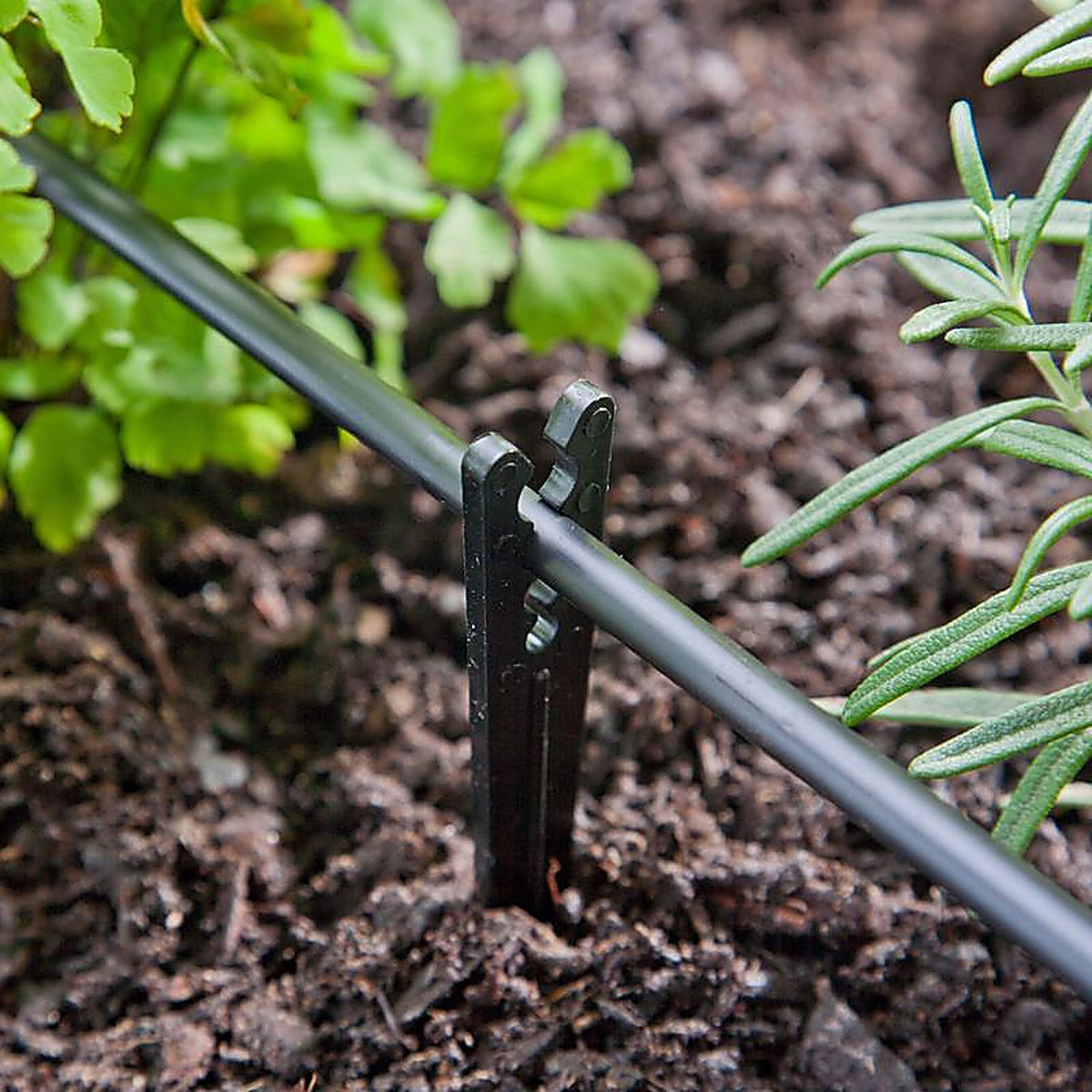 Raindrip R381CT Drip Irrigation Tubing Stake 6 in. L 10/Pack