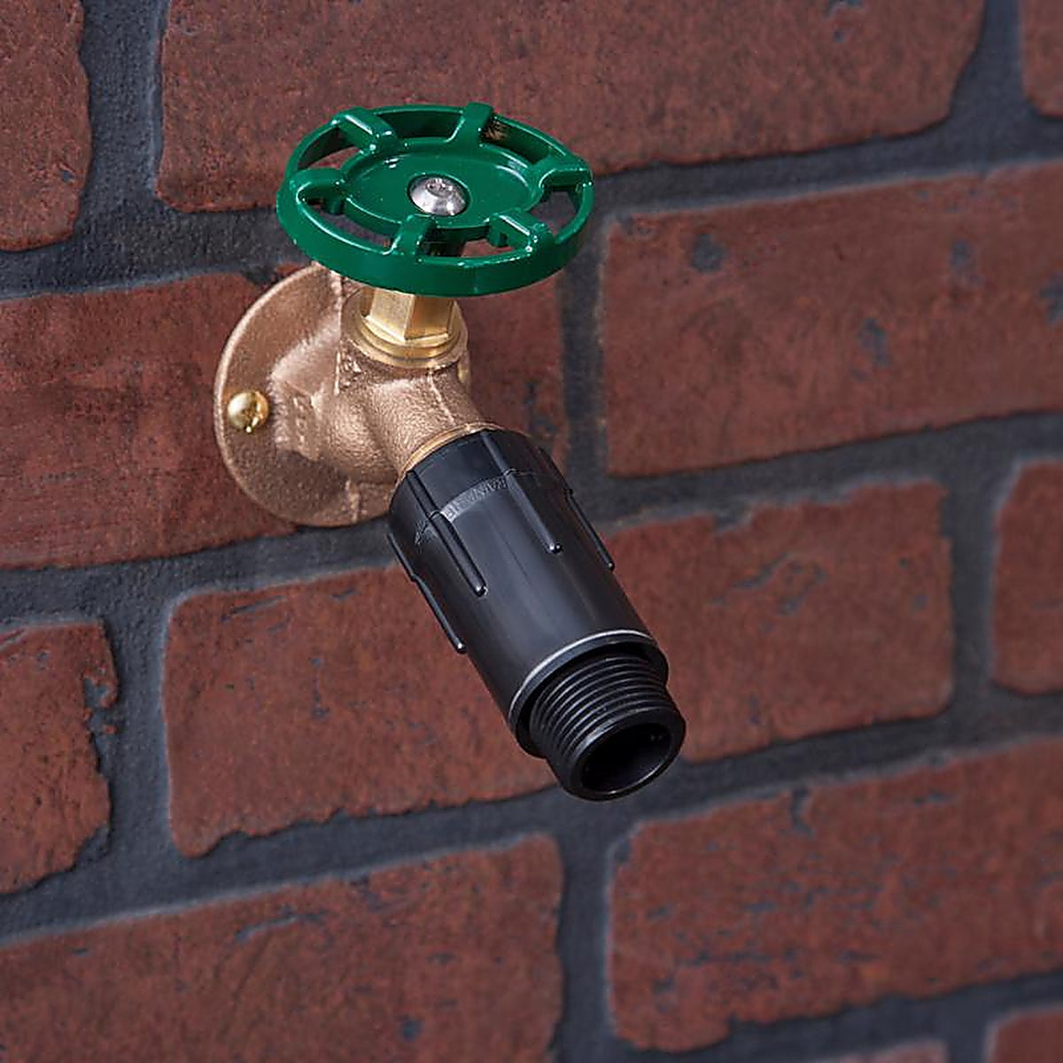 Raindrip R465CT 3/4 in. Drip Irrigation Pressure Regulator 1/Pack
