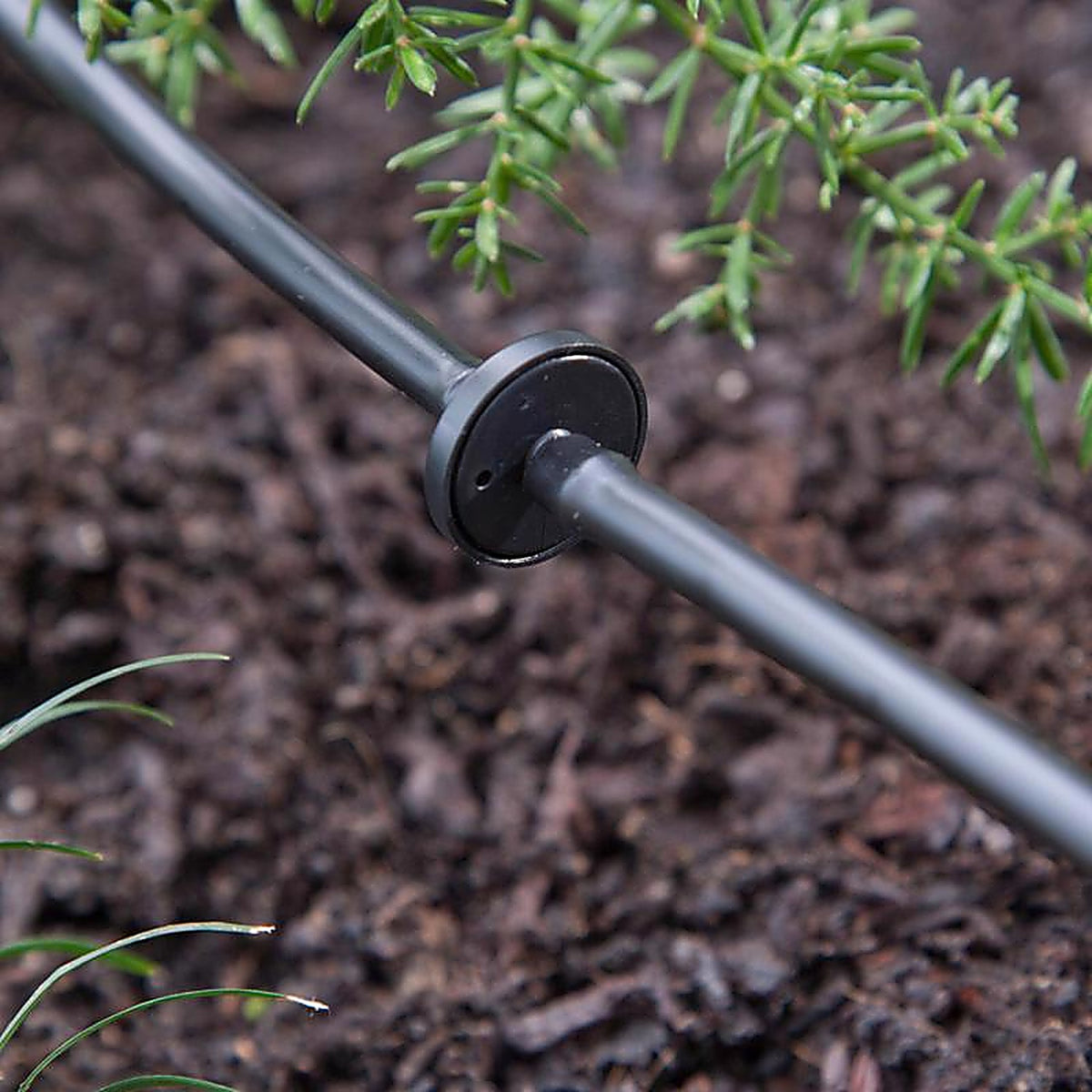 Raindrip R117CT Spot Drip Irrigation Mini In-Line 1 gph
