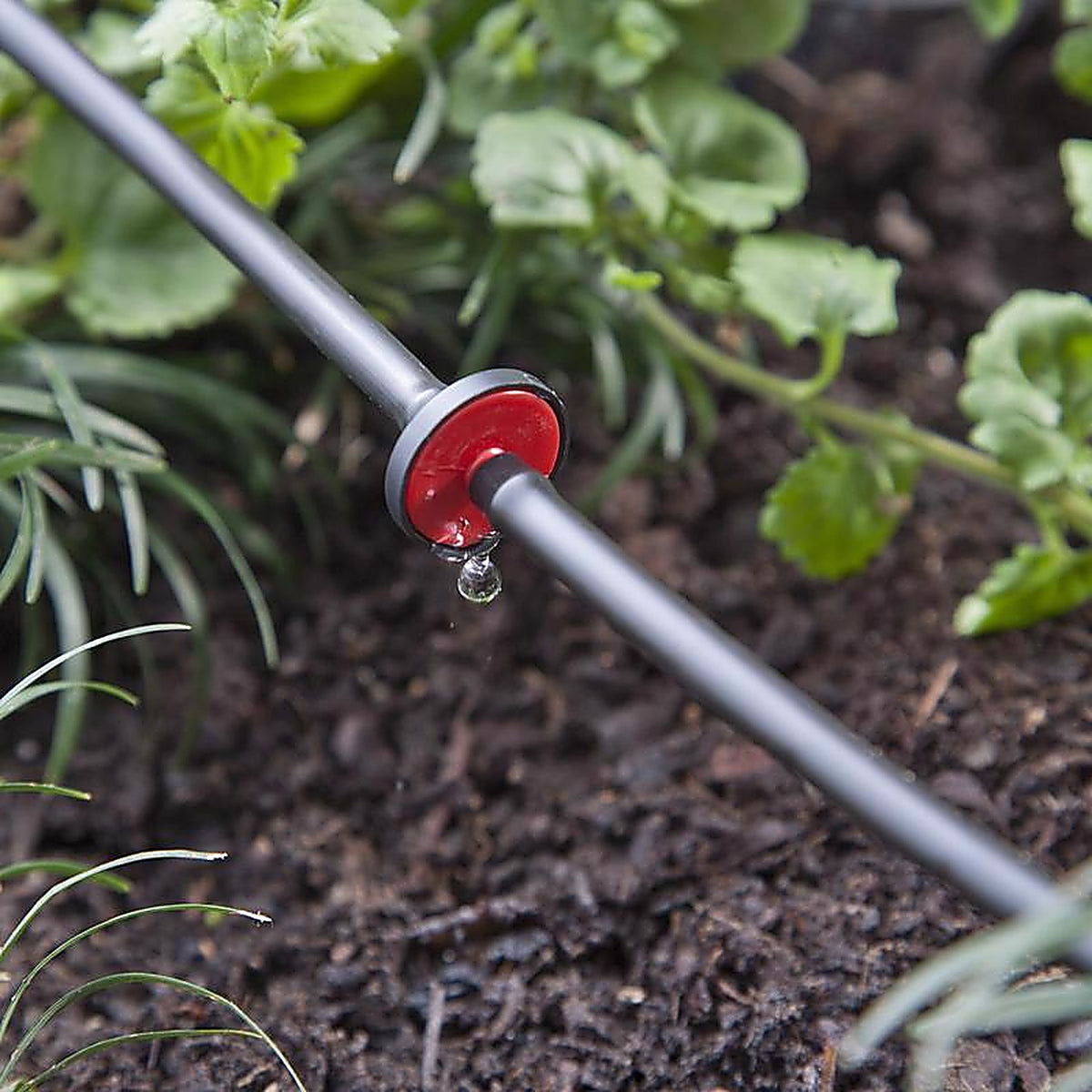 Raindrip R116CT Spot Drip Irrigation Mini In-Line 0.5 gph