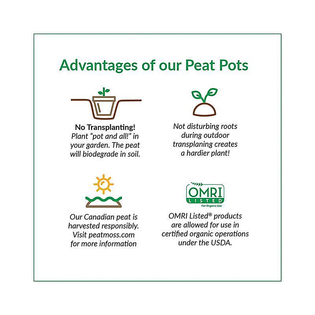 Jiffy JP406 Peat Pot 6/Pack
