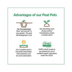 Jiffy JP406 Peat Pot 6/Pack