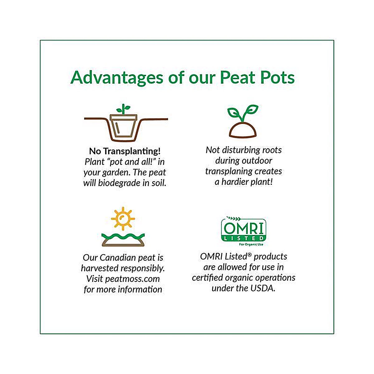 Jiffy JP406 Peat Pot 6/Pack
