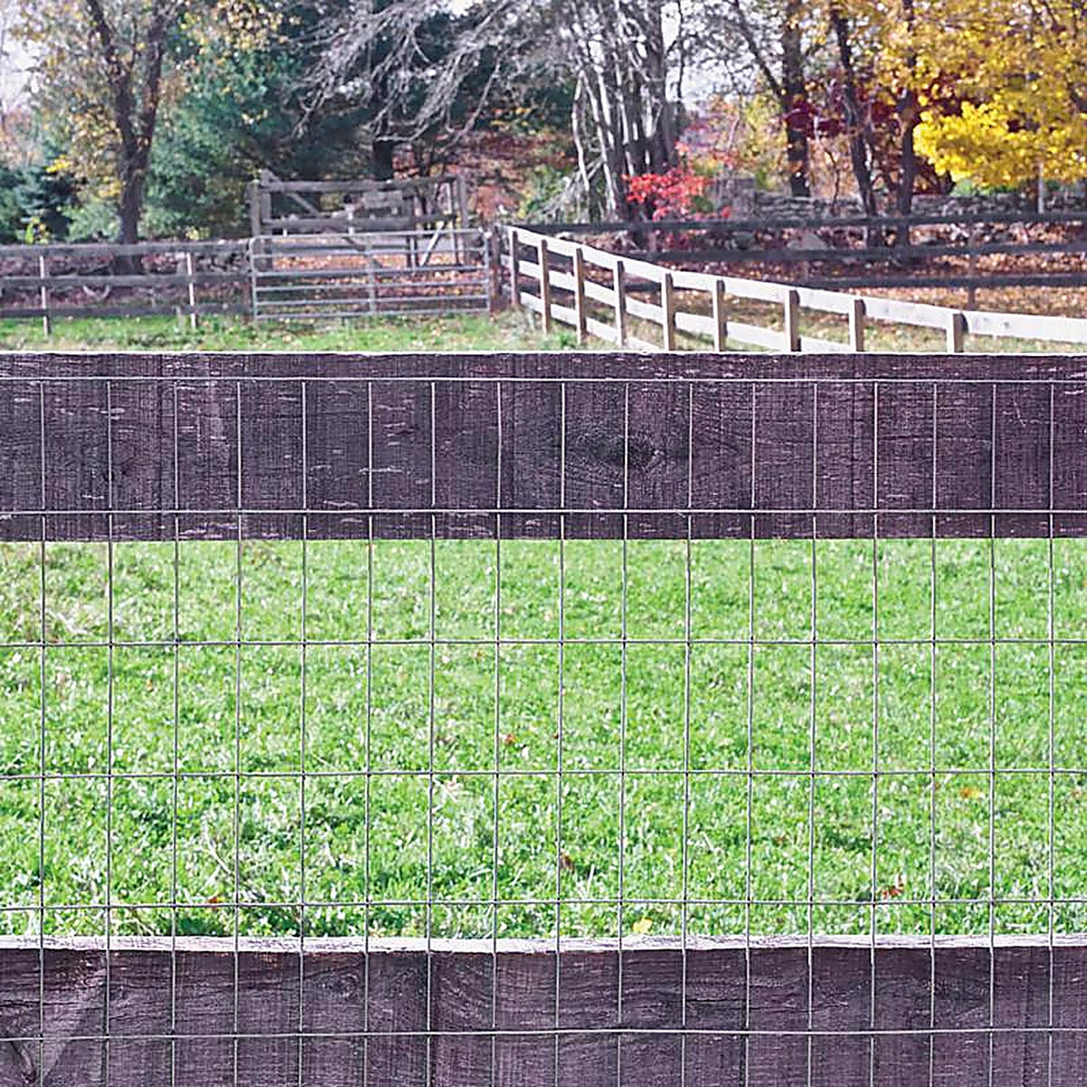 American Posts 810F111436100 36 in. H 100 Steel Welded Wire Fence
