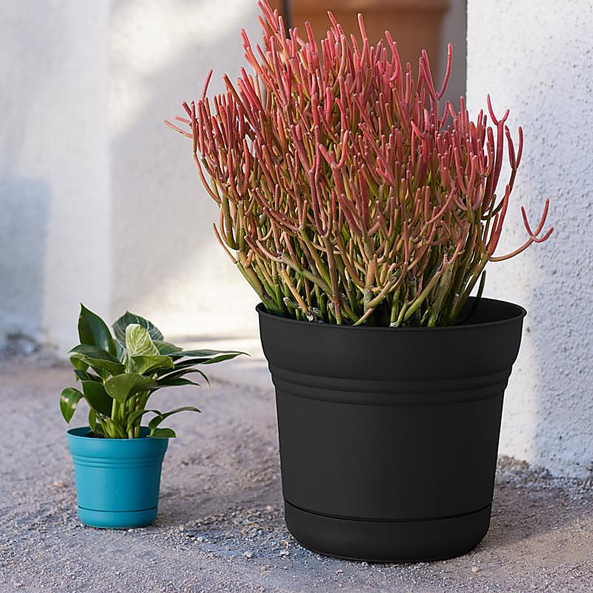 Bloem SP1200 10.75 in. H Plastic Saturn Flower Pot Black