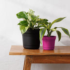 Bloem SP0700 6.5 in. H Plastic Saturn Flower Pot Black