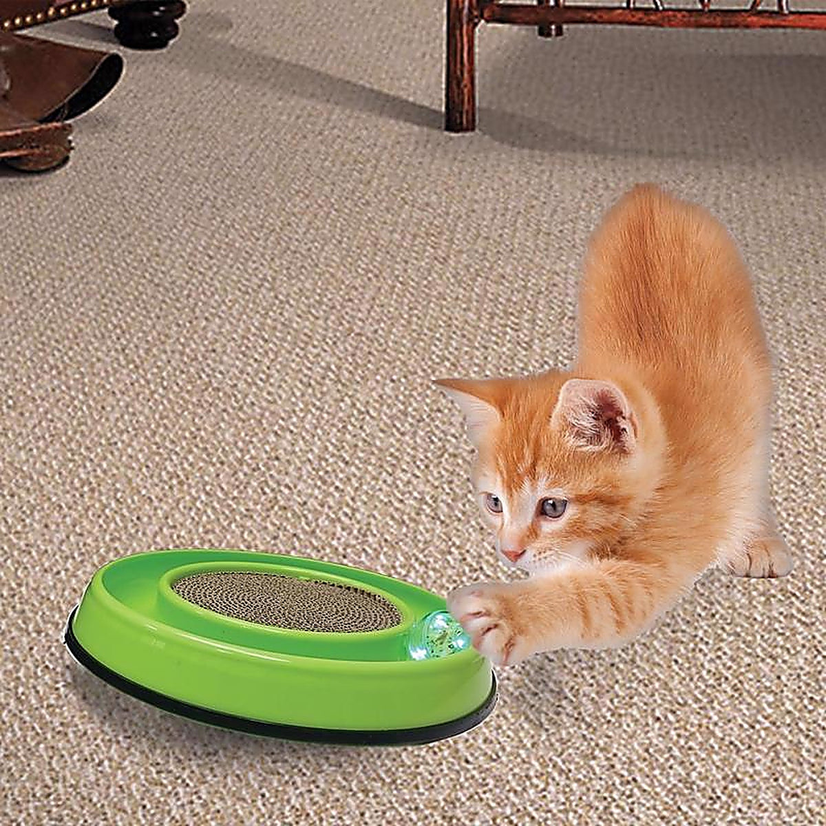 Spot 52020 Rockin' Plastic Assorted Cat Scratcher 1/Pack