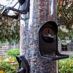 Perky-Pet 3266 Wild Bird 4 lb. Plastic Tube Bird Feeder 6 ports