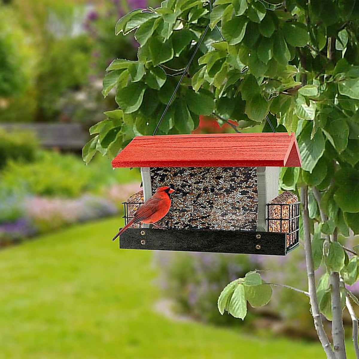 Woodlink 24465 Going Green Wild Bird 4 lb. Plastic Ranch Seed and Suet Bird Feeder