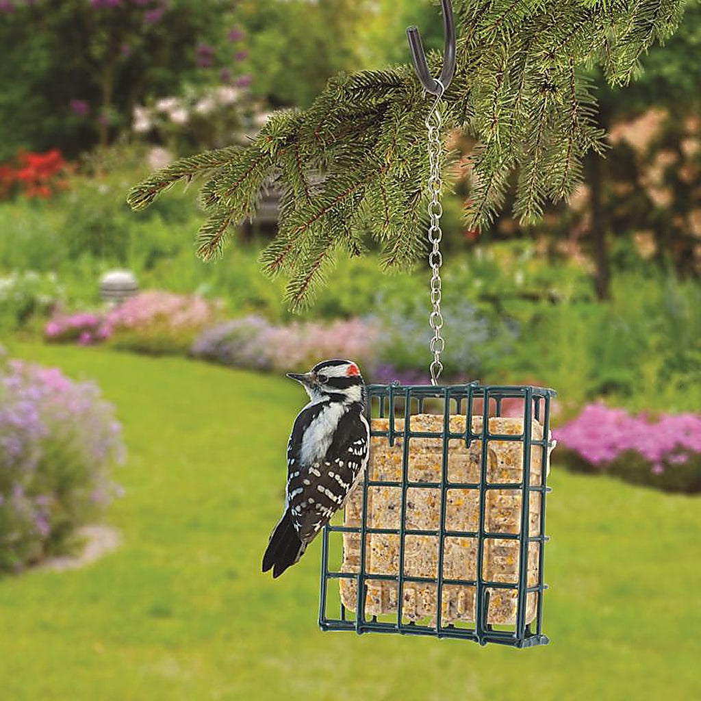 Woodlink 25121 Wild Bird Metal Small Suet Cage