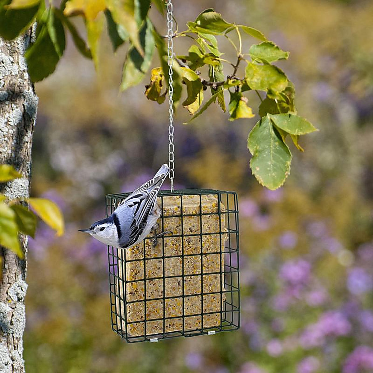 Woodlink 25122 Wild Bird Metal Large Suet Cage