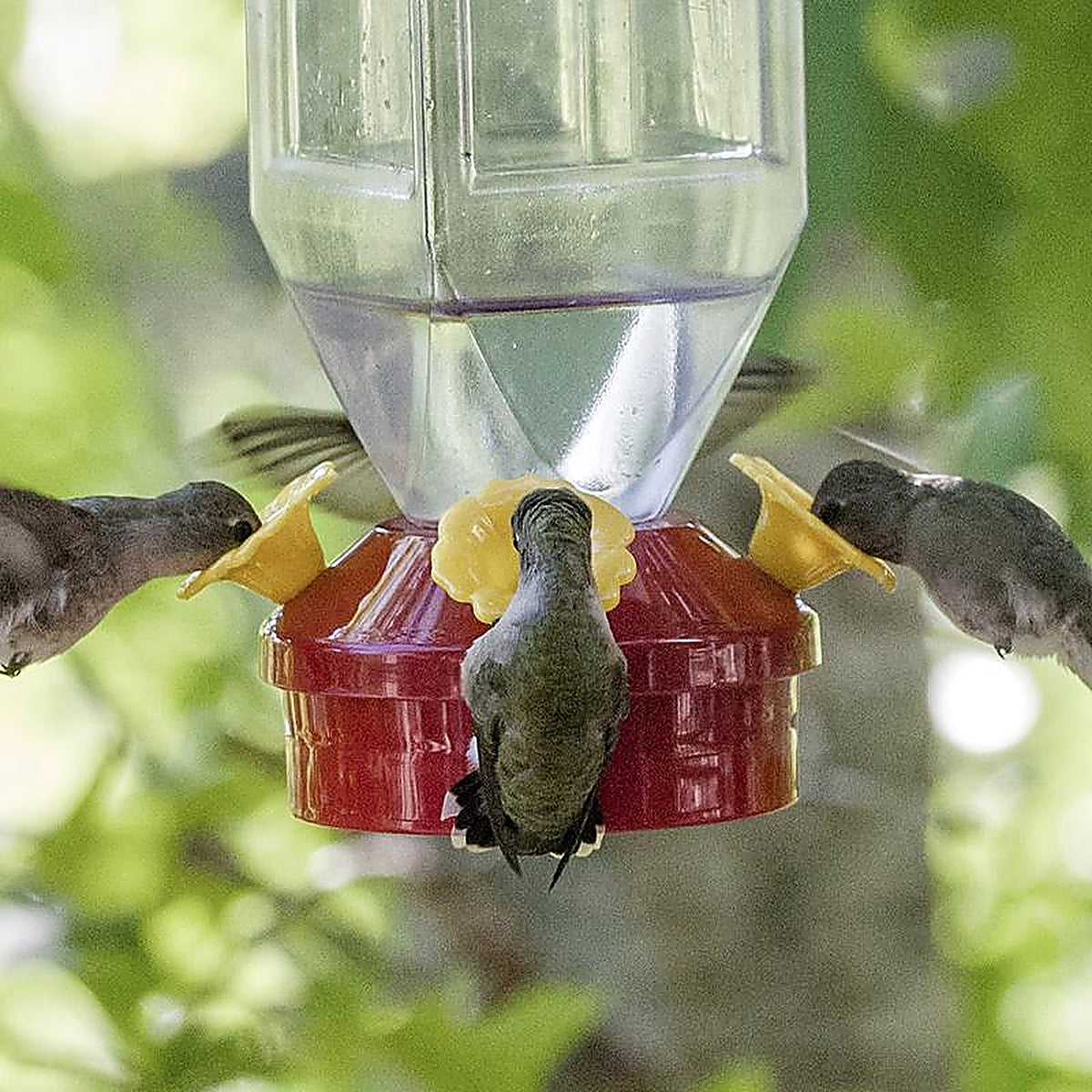 Perky-Pet 201 Hummingbird 18 oz. Plastic Nectar Feeder 4 ports