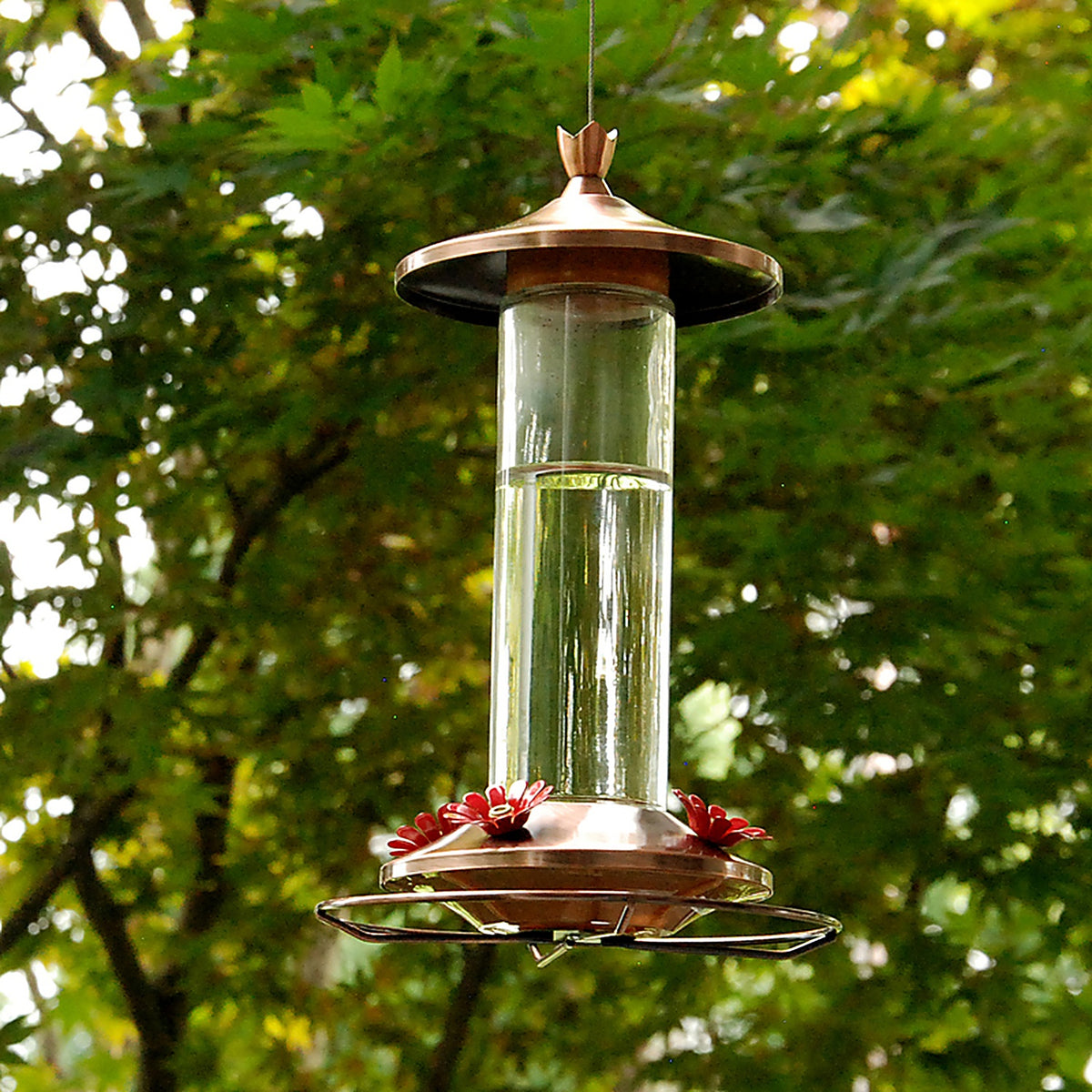 Birdscapes 710B Perky-Pet Hummingbird 12 oz. Copper/Glass Nectar Feeder 4 ports