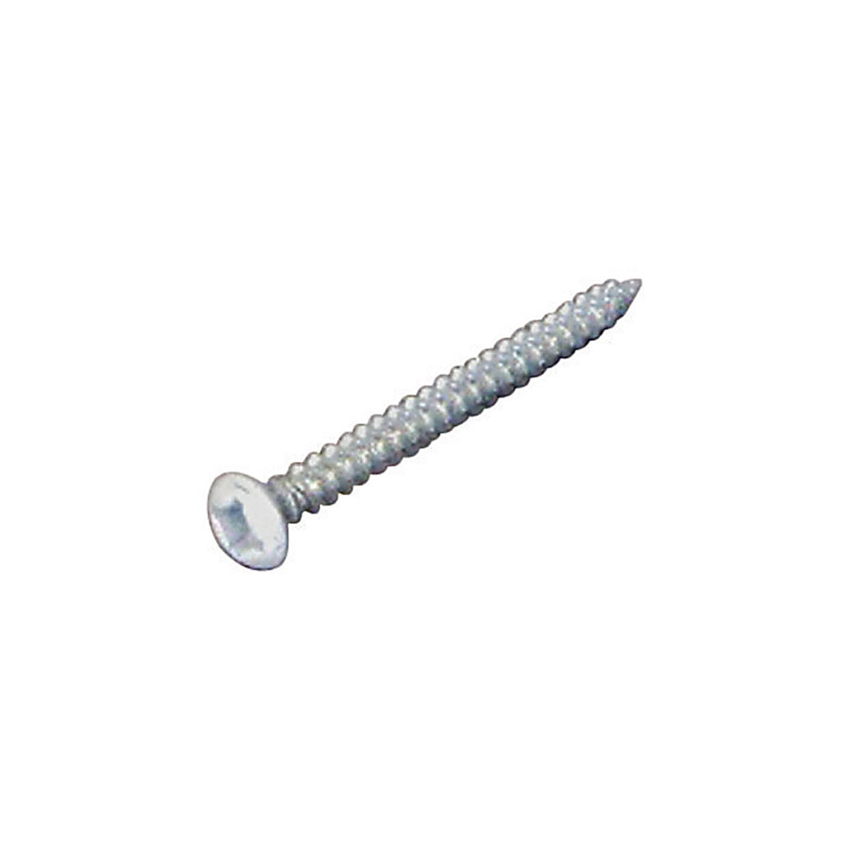 US Hardware S-940D RV White Head Rosette Screws 100/Pack