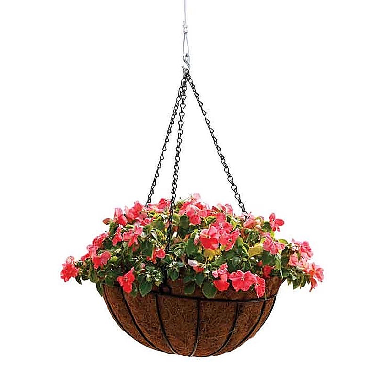 North States 9025 32 in. H Feeder Cable and Hook