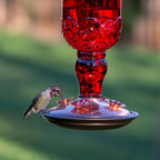 Perky-Pet 8119-2 Hummingbird 24 oz. Glass Nectar Feeder 4 ports