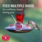 Perky-Pet 8119-2 Hummingbird 24 oz. Glass Nectar Feeder 4 ports
