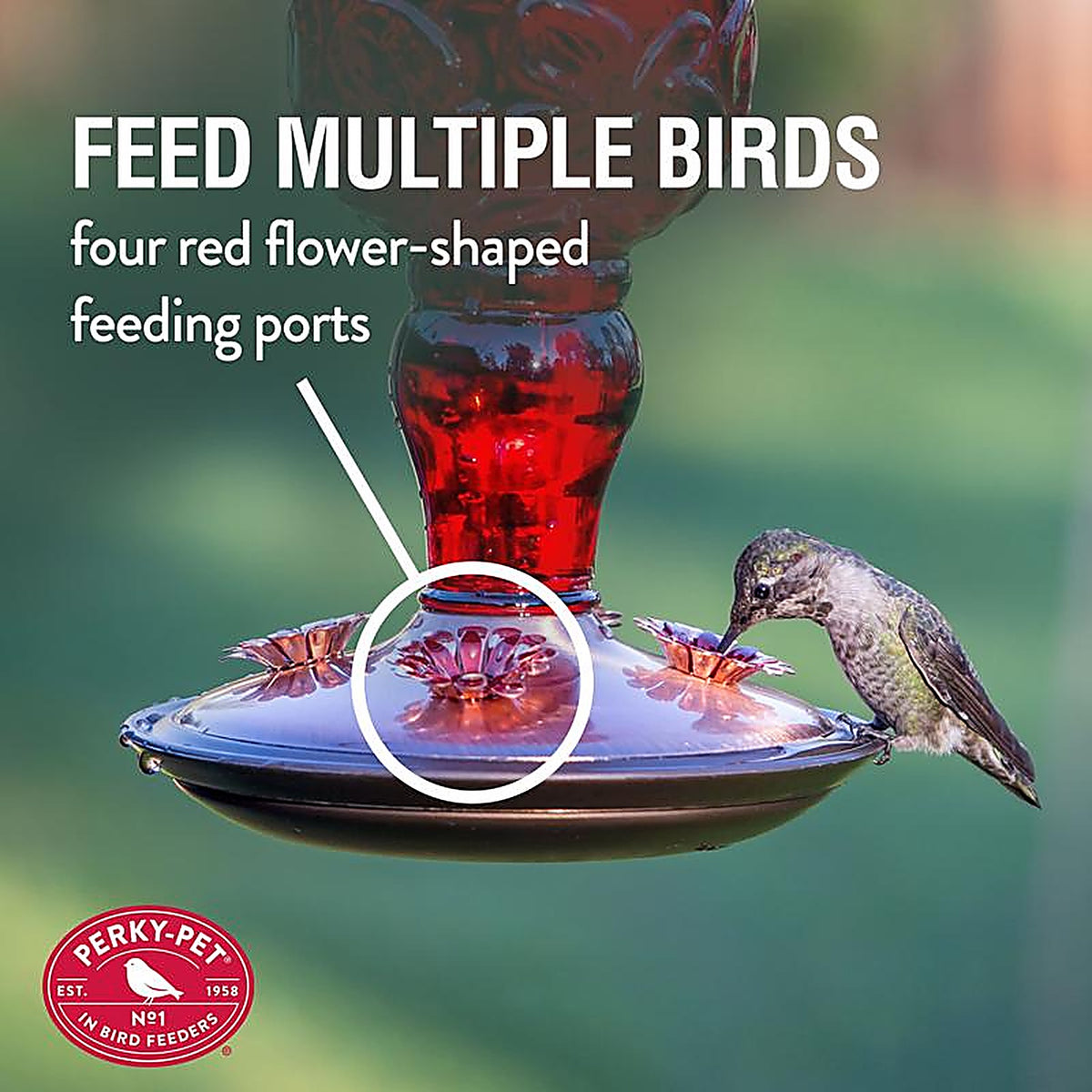 Perky-Pet 8119-2 Hummingbird 24 oz. Glass Nectar Feeder 4 ports