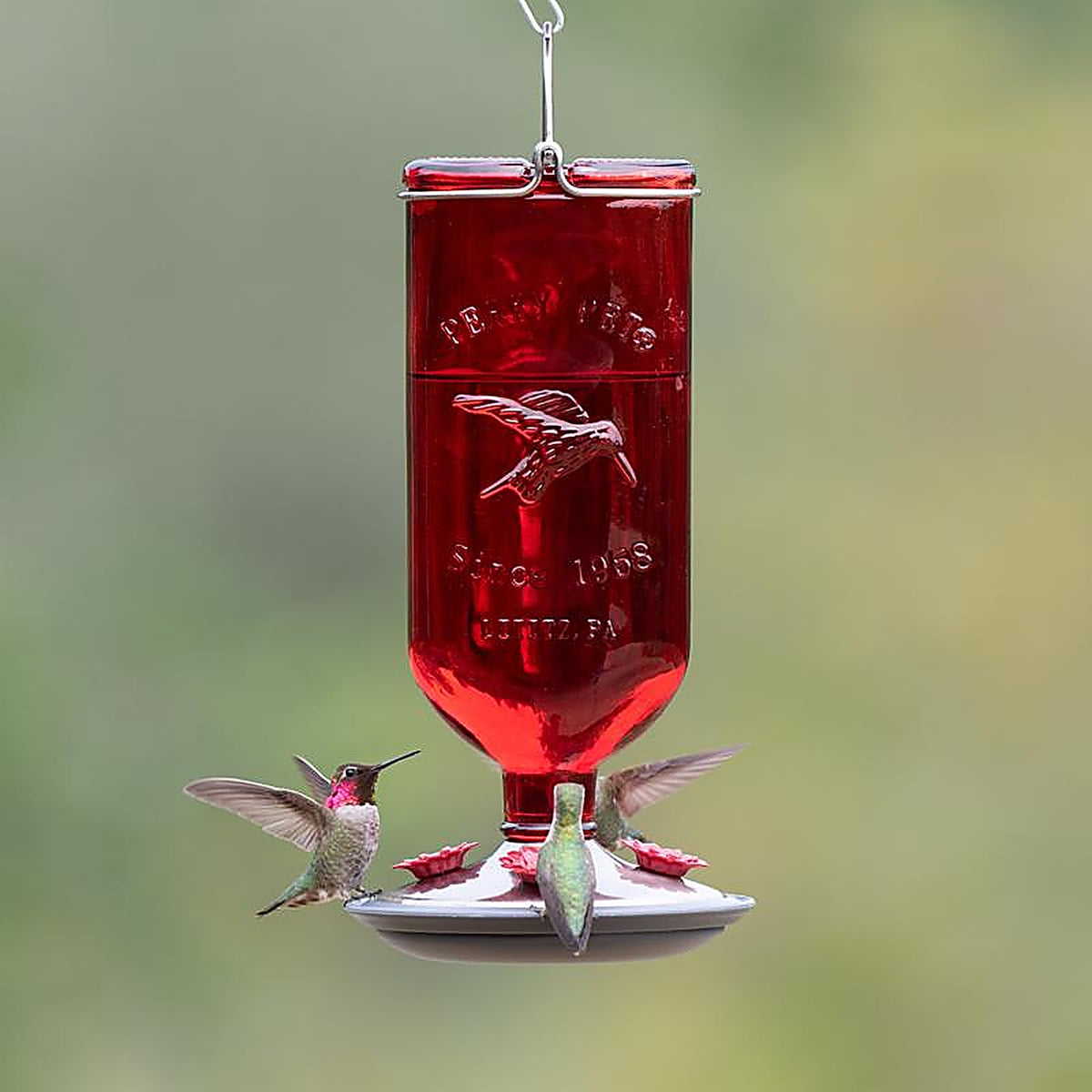 Perky-Pet 8109-2 Hummingbird 16 oz. Glass Nectar Feeder 4 ports