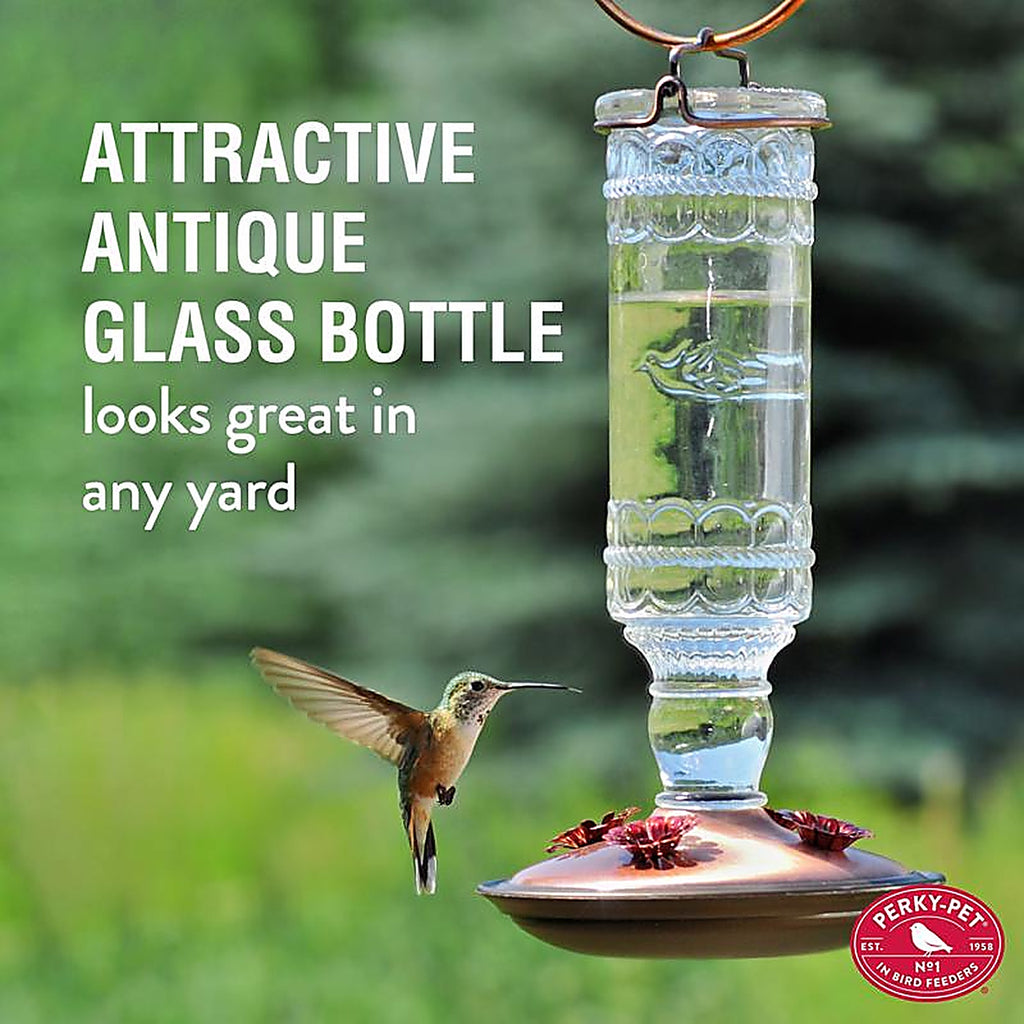 Perky-Pet 8107-2 Hummingbird 10 oz. Glass Nectar Feeder 4 ports