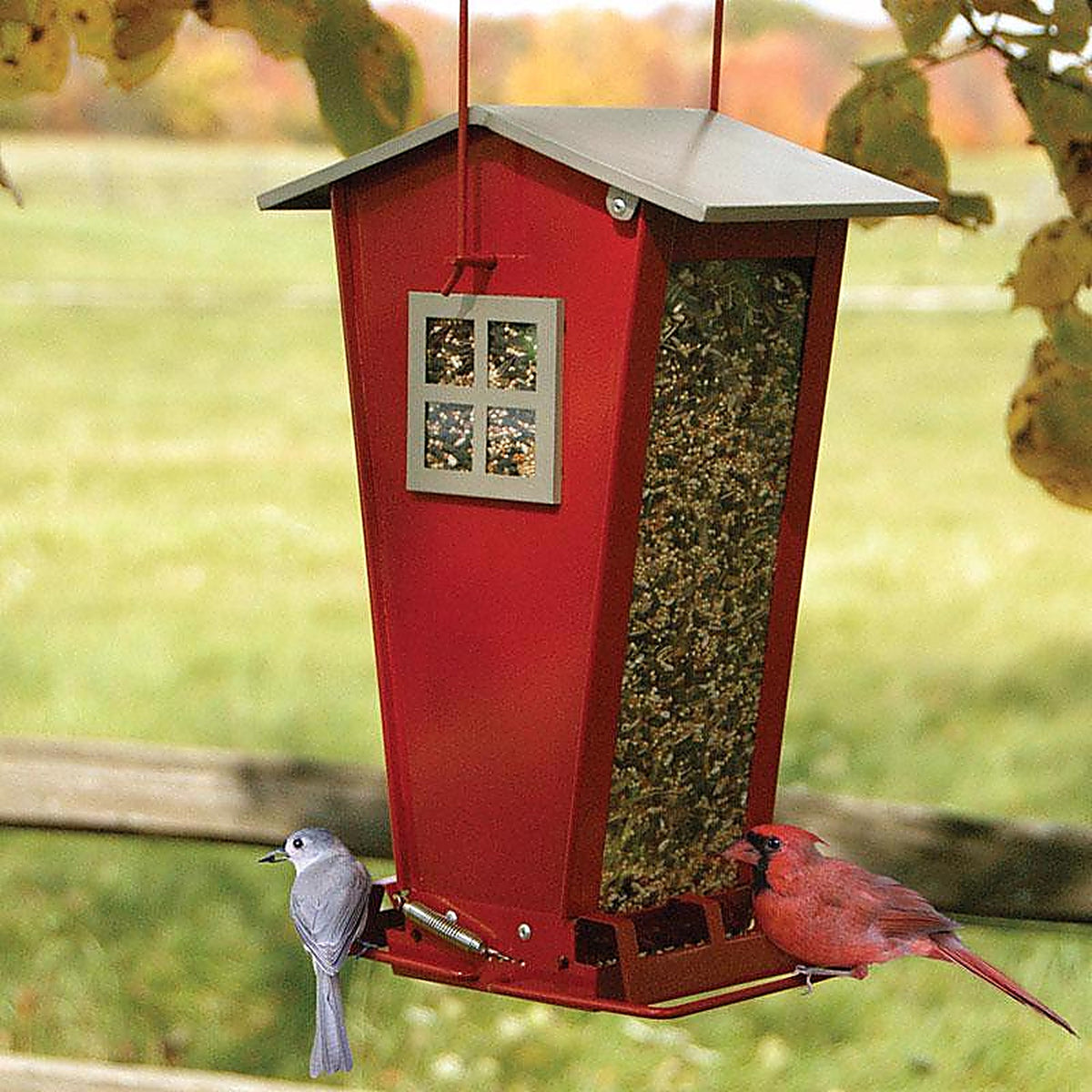 Audubon NA35194 Snack Shack Wild Bird 7 lb. Steel Squirrel-Resistant Bird Feeder 2 ports