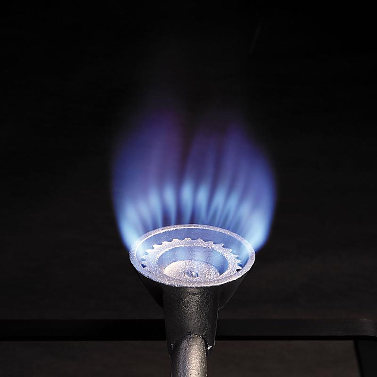 Bayou Classic DB250 Liquid Propane Double Burner