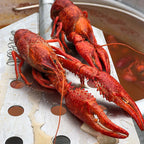 Bayou Classic SP2 Liquid Propane Double Jet Cooker