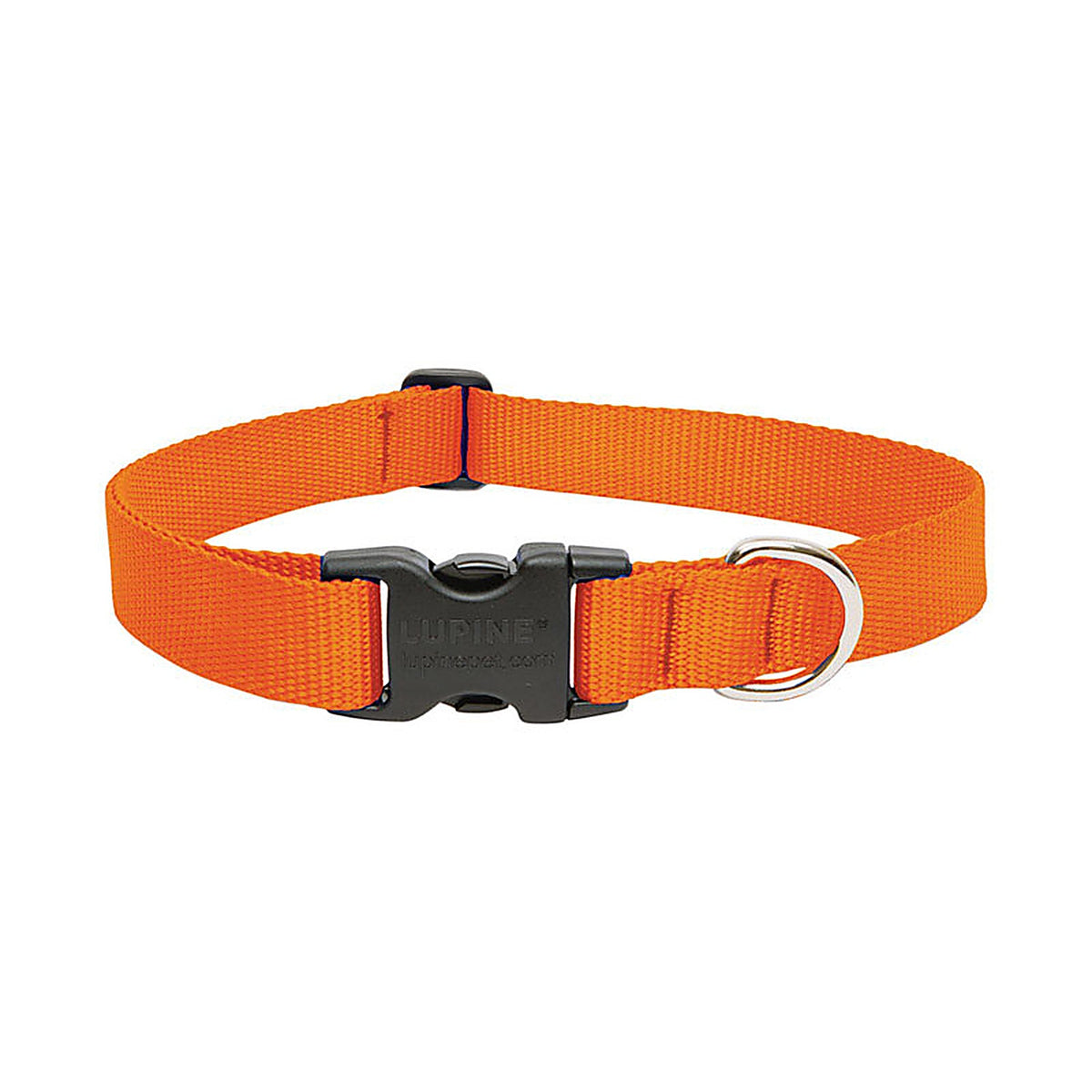 Lupine 52552 Pet Basic Solids Blaze Orange Blaze Orange Nylon Dog Adjustable Collar