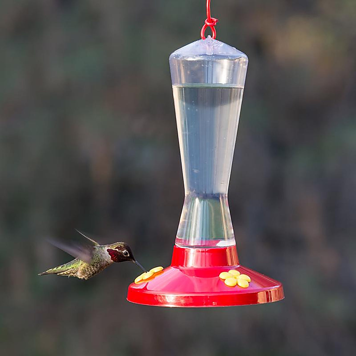 Perky-Pet 211 Hummingbird 8 oz. Plastic Nectar Feeder 3 ports