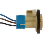 Dorman 85876 3-Wire Rear Stop, Tail, Turn and Back-Up Socket