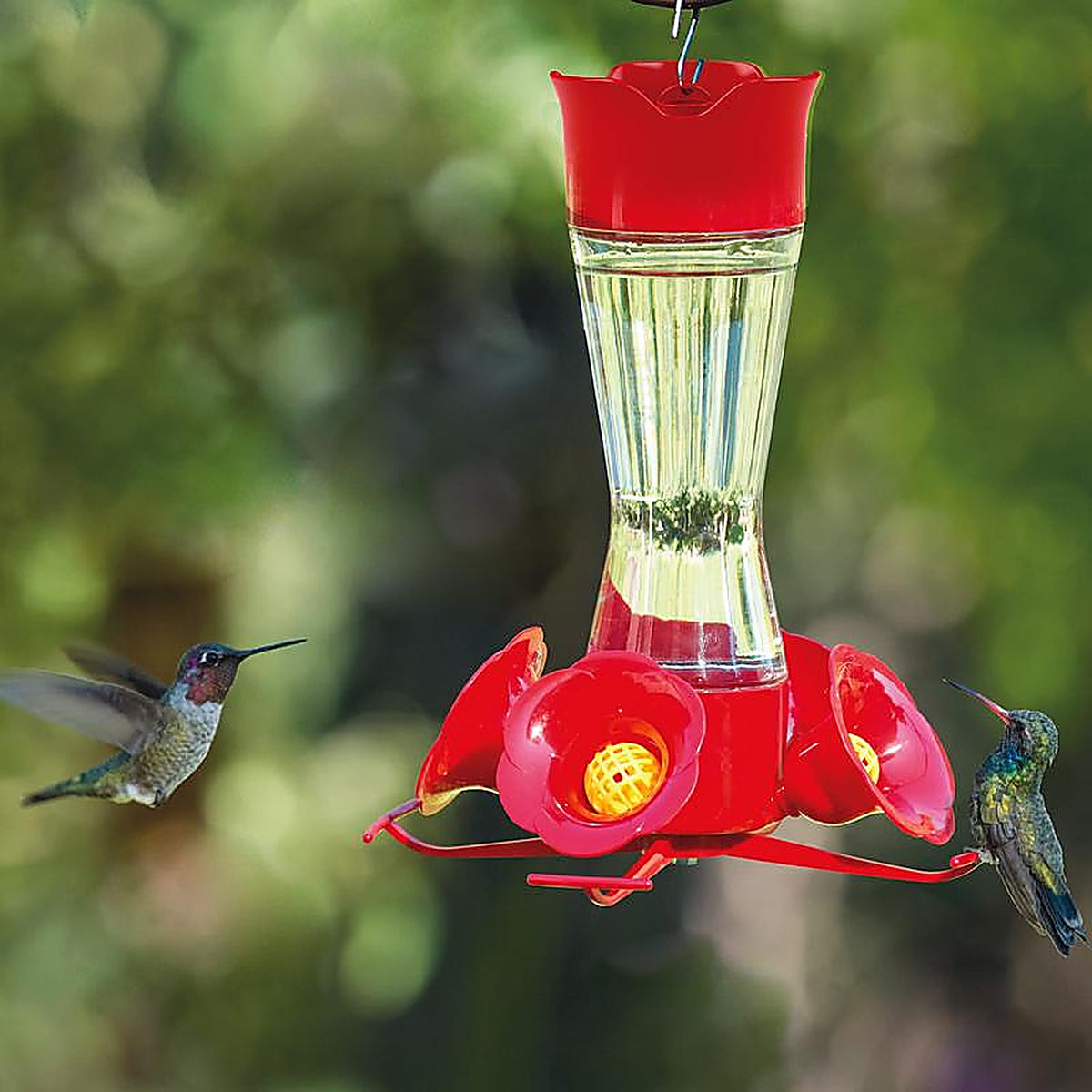 Perky-Pet 203CPBN-2 Hummingbird 8 oz. Glass/Plastic Nectar Feeder 4 ports