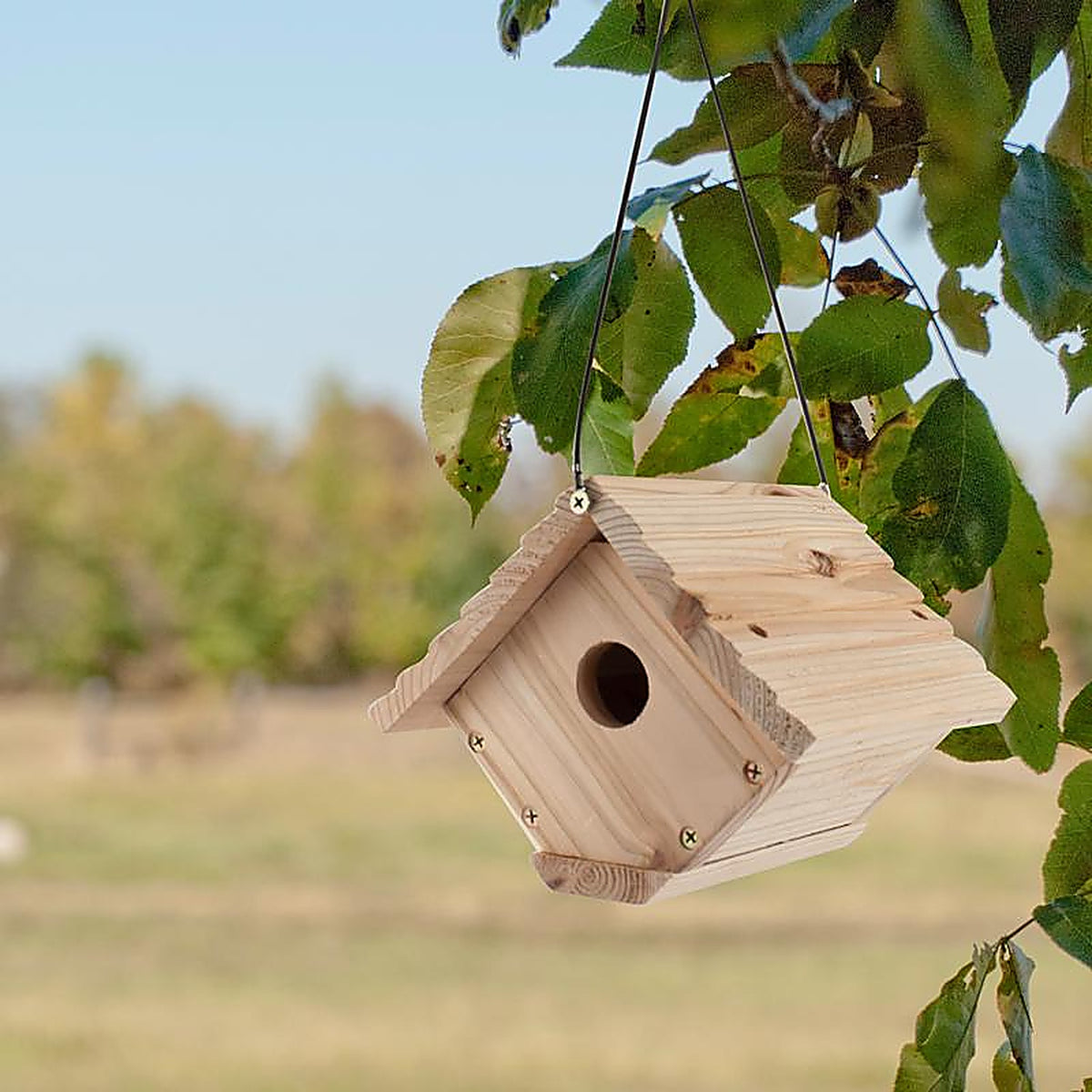 Audubon NAWREN1N 6.25 in. H x 6.8 in. W x 7.13 in. L Red Cedar Bird House