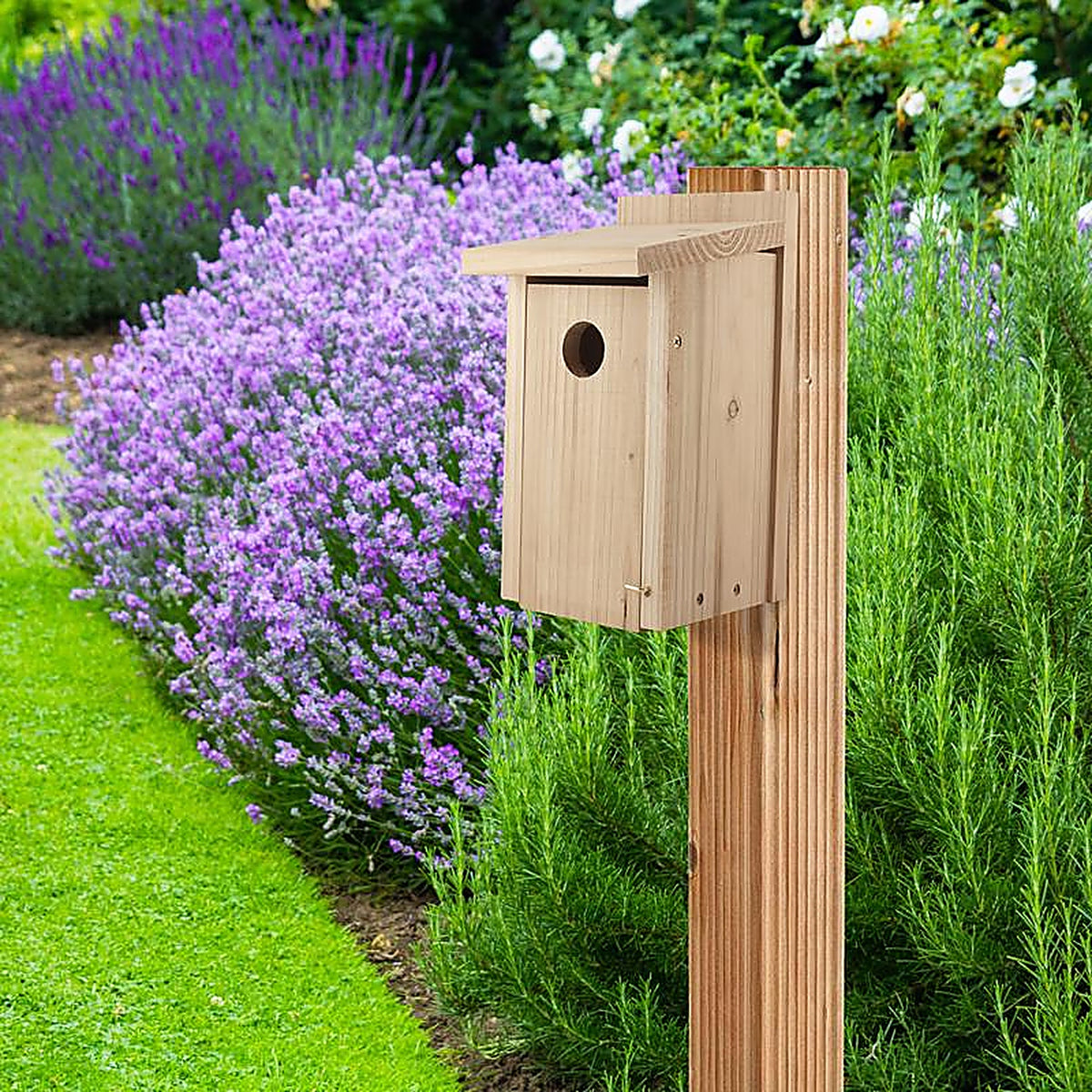 Audubon NABB4N 12 in. H x 6.4 in. W x 6.4 in. L Red Cedar Bird House