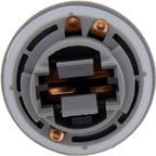 Dorman 923-034 Tail Lamp Socket