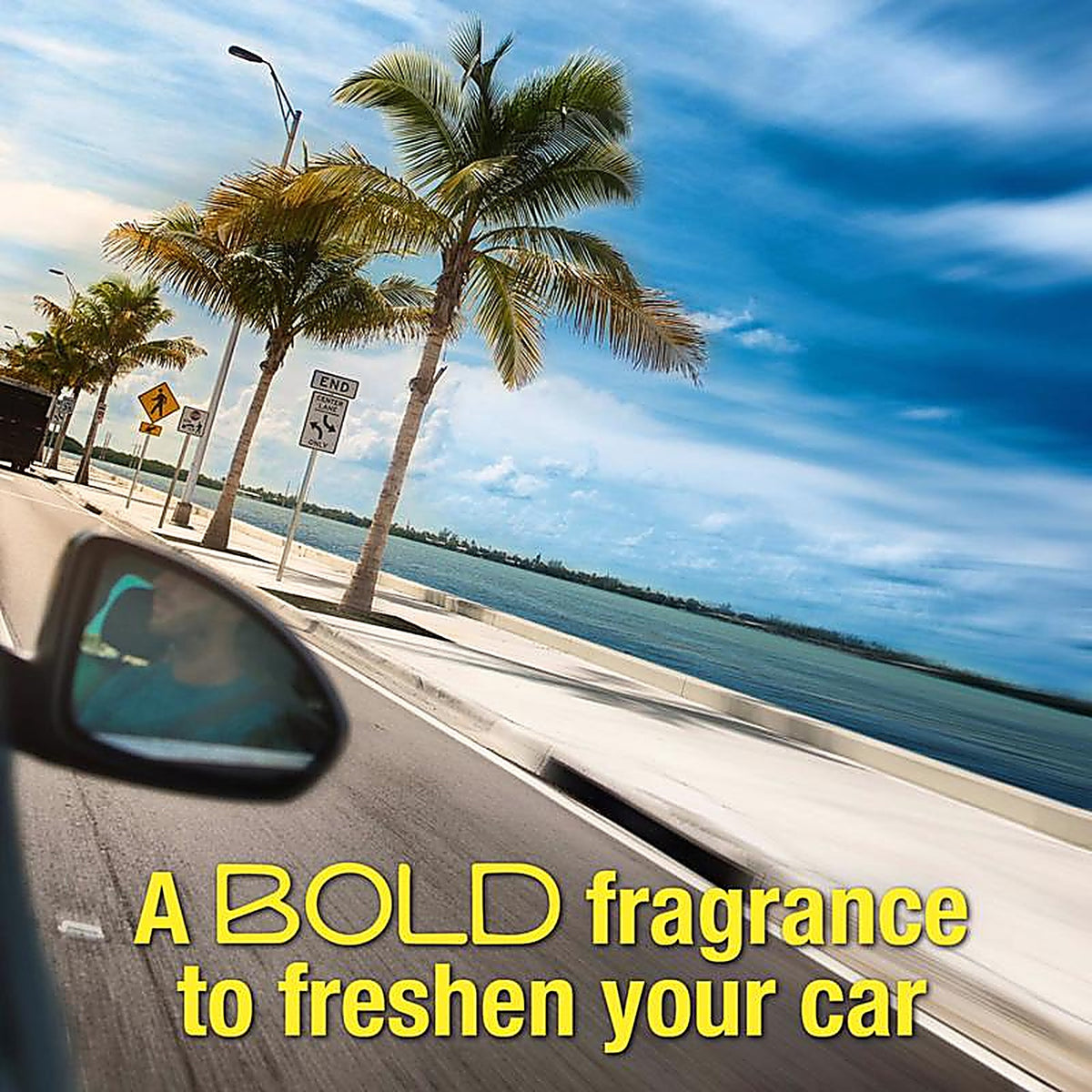California Scents CCS-12CT MC Fruity Scent Car Air Freshener 1.4 oz. Solid