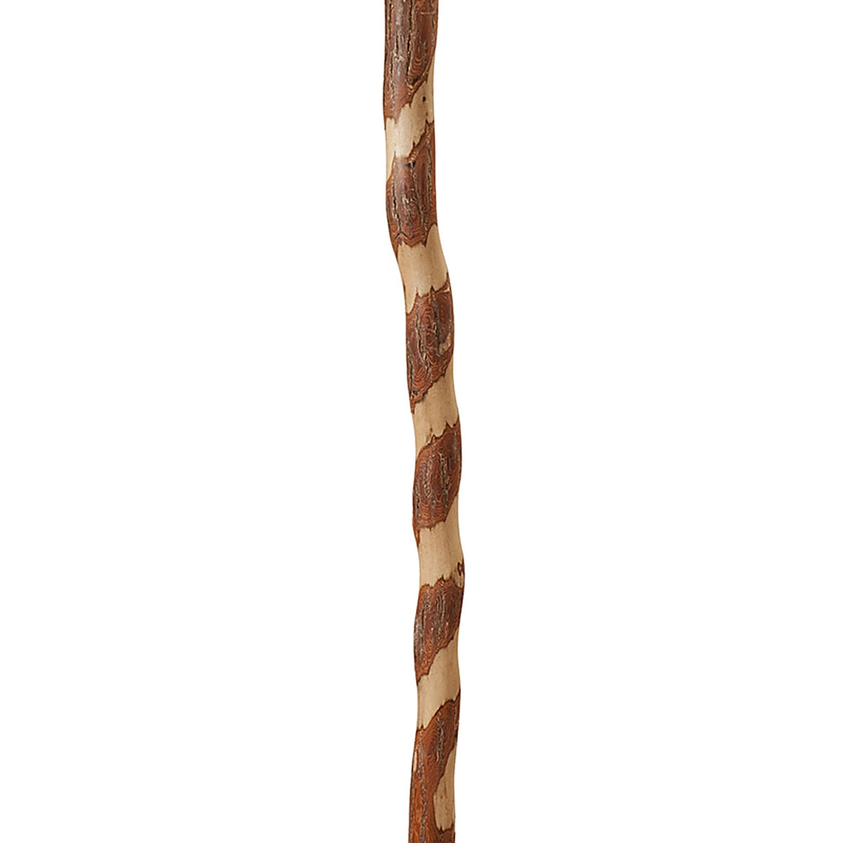 Brazos 502-3000-0269 Twisted Cane Sassafras 1/Pack
