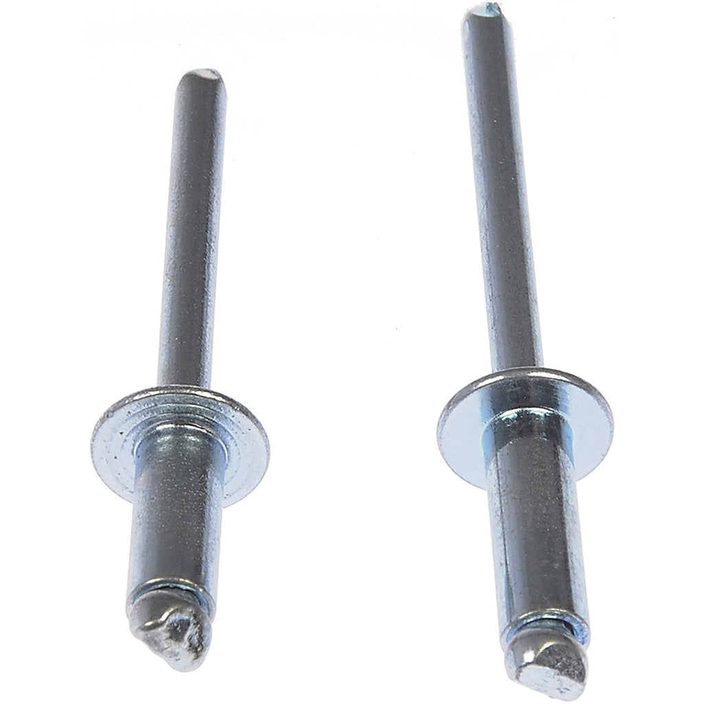 Dorman 961-035 Rivet Steel 3/16 In.-Assortment