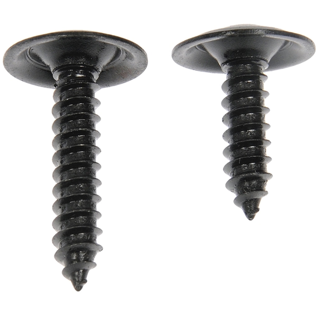 Dorman 961-210D Trim Screw Assortment Black No.10 X 3/4 In., 1 In.