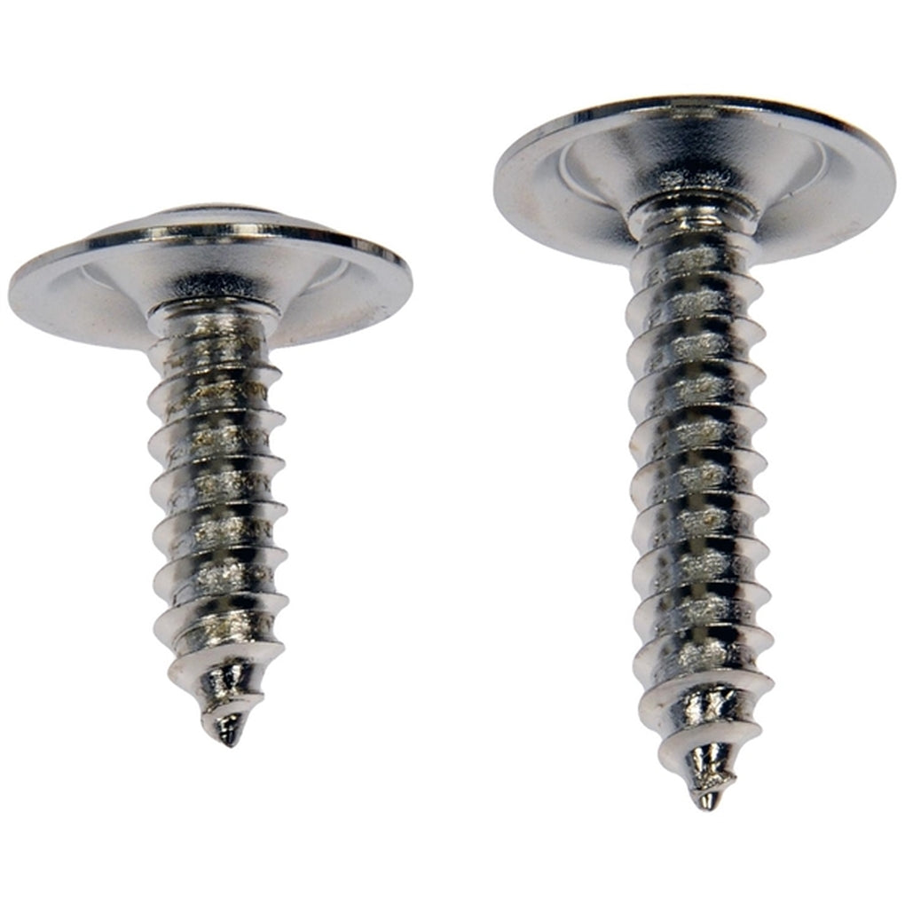 Dorman 961-230D Trim Screw Assortment Chrome No.10 X 3/4 In., 1 In.