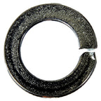 Dorman 965-111D Split Lock Washer Grade 8 5/16 In. (M8)