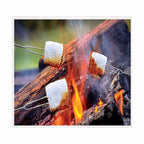 Blazing LEDz 702480 Open Flame Roasting Extendable Marshmallow Fork Plastic/Stainless Steel 3/Pack