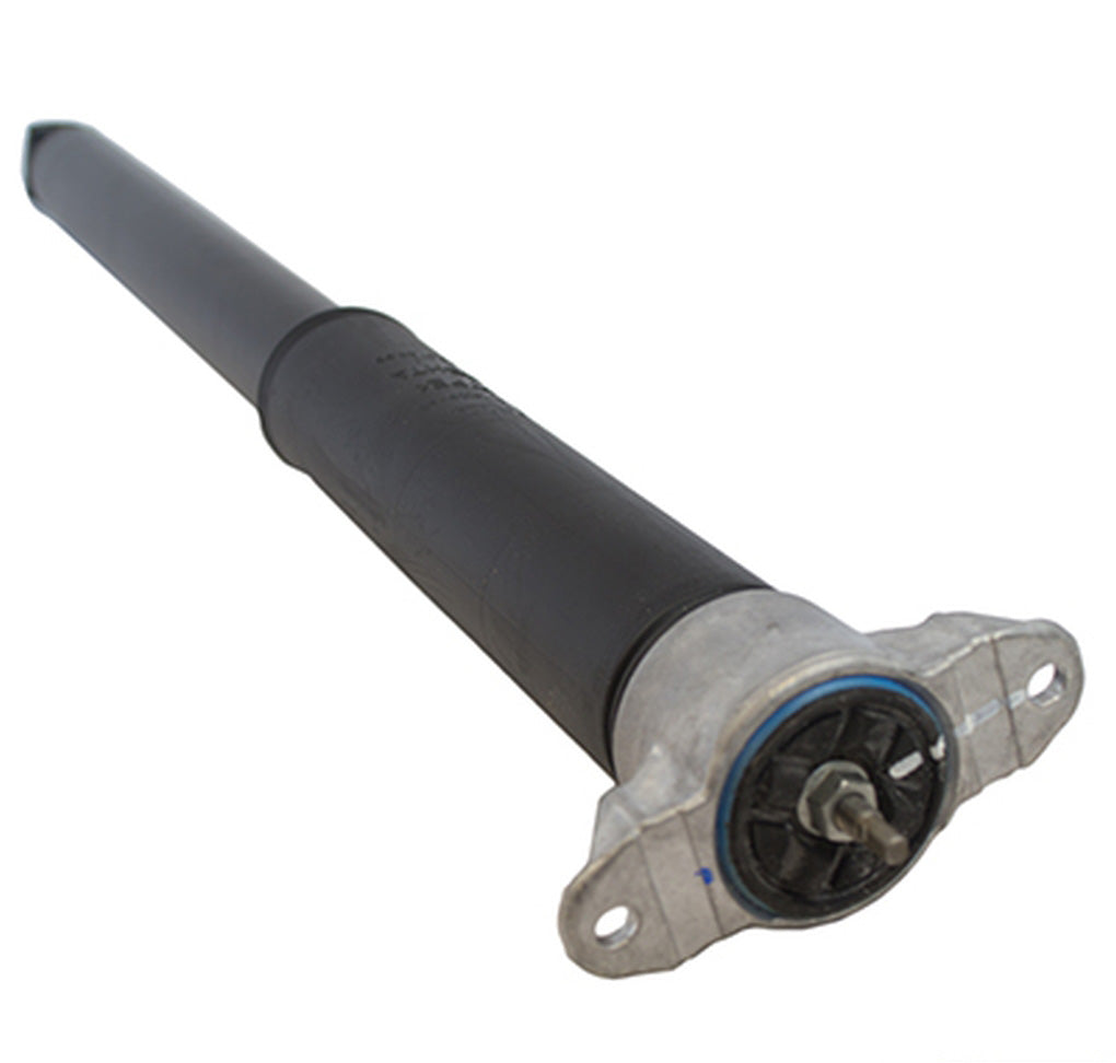 Motorcraft ASH24507 Shock Absorber Assembly