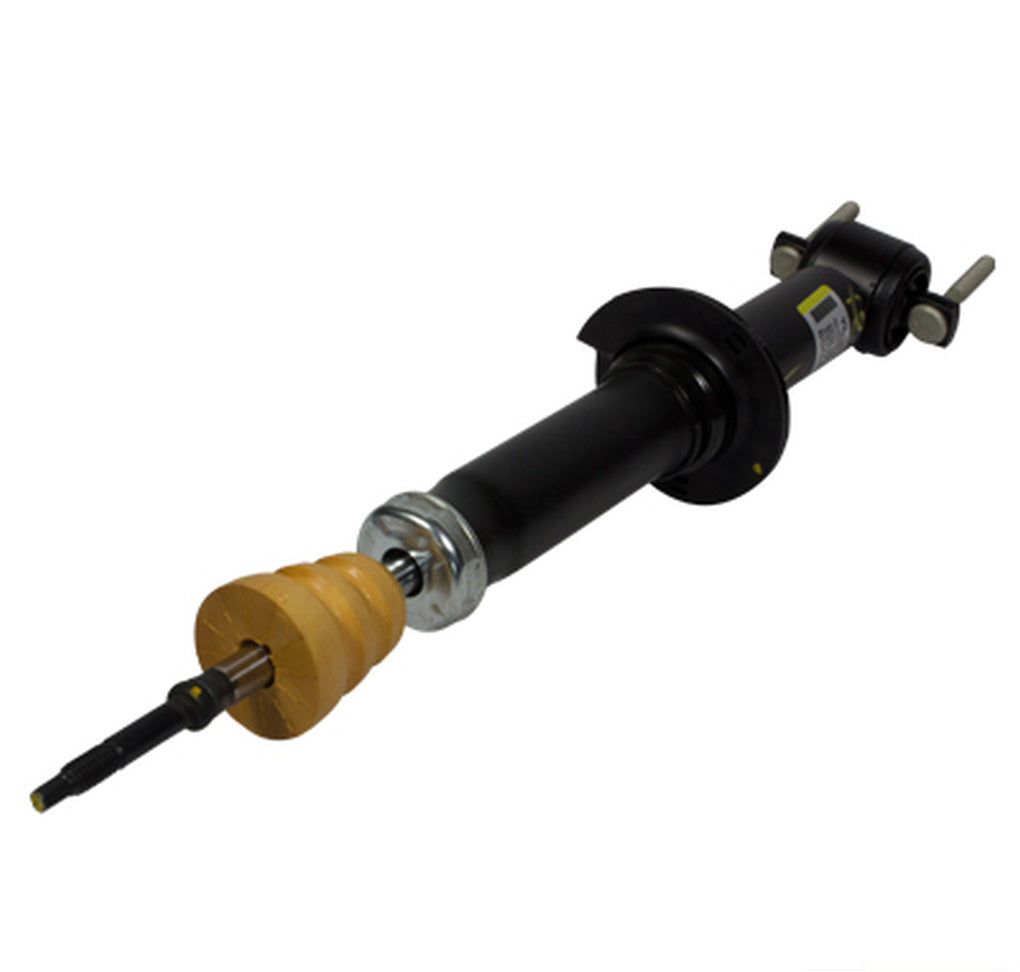 Motorcraft ASH24560 Shock Absorber Assembly