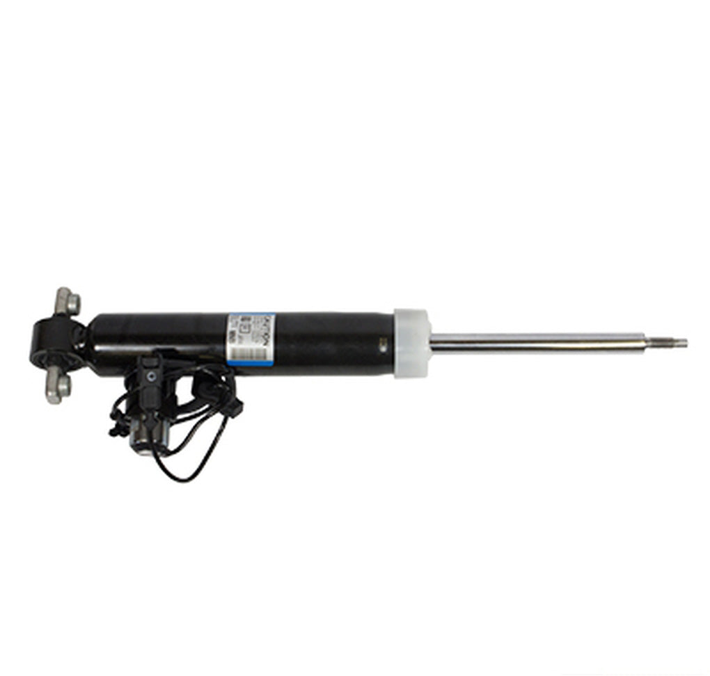 Motorcraft ASH24651 Shock Absorber Assembly