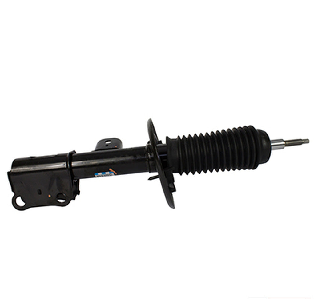 Motorcraft AST12269 Shock Absorber Assembly Front