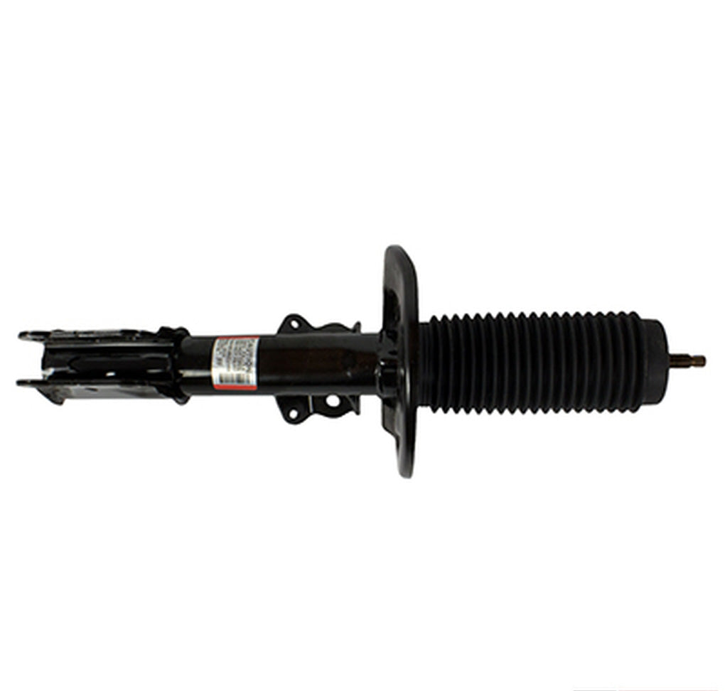 Motorcraft AST18193 Shock Absorber Assembly